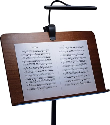 Miniatura 4 de Luz de orquesta recargable USB LED518 en el escenario