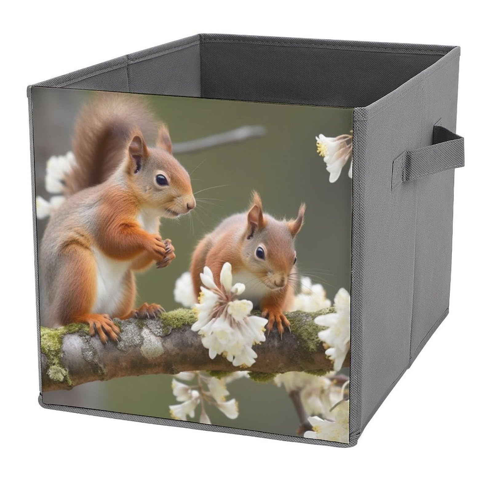 NONHAI Collapsible Storage Bins with Dual Handles Fabric Storage Basket Foldable Cubes Organizer Baskets Squirrels Storage Boxes for Organizing Clothing Cube Storage Organizer Bins