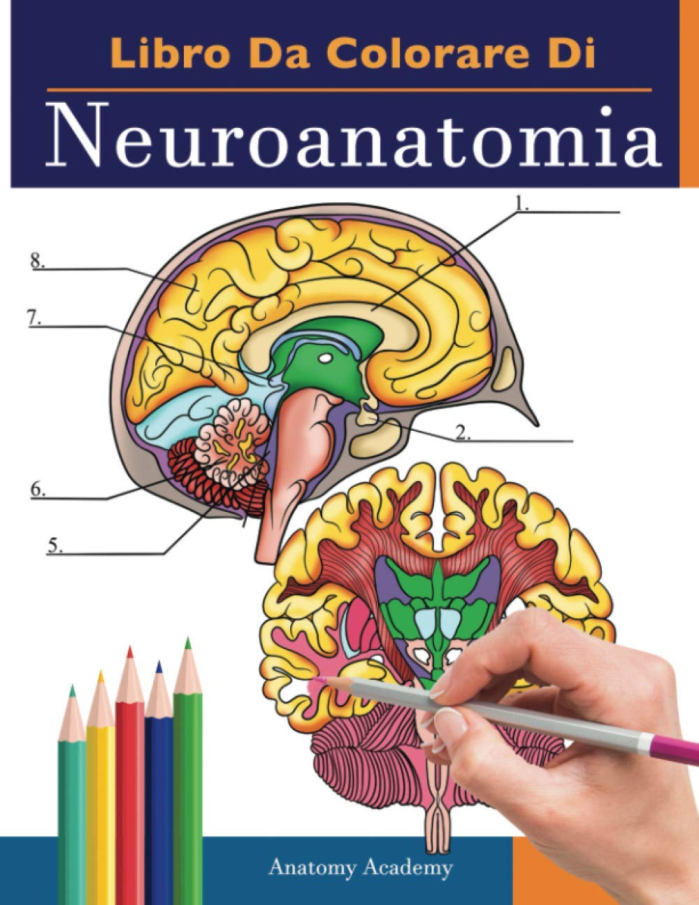 Quercetti Lavagna Magnetica per Bambini Double-Face Bambini 4-8 Anni, Lavagna Magnetica per Calamite con Numeri Magnetici, Giochi Educativi di Scrittura, Disegno e Calcoli, Regalo Bambino 4 Anni