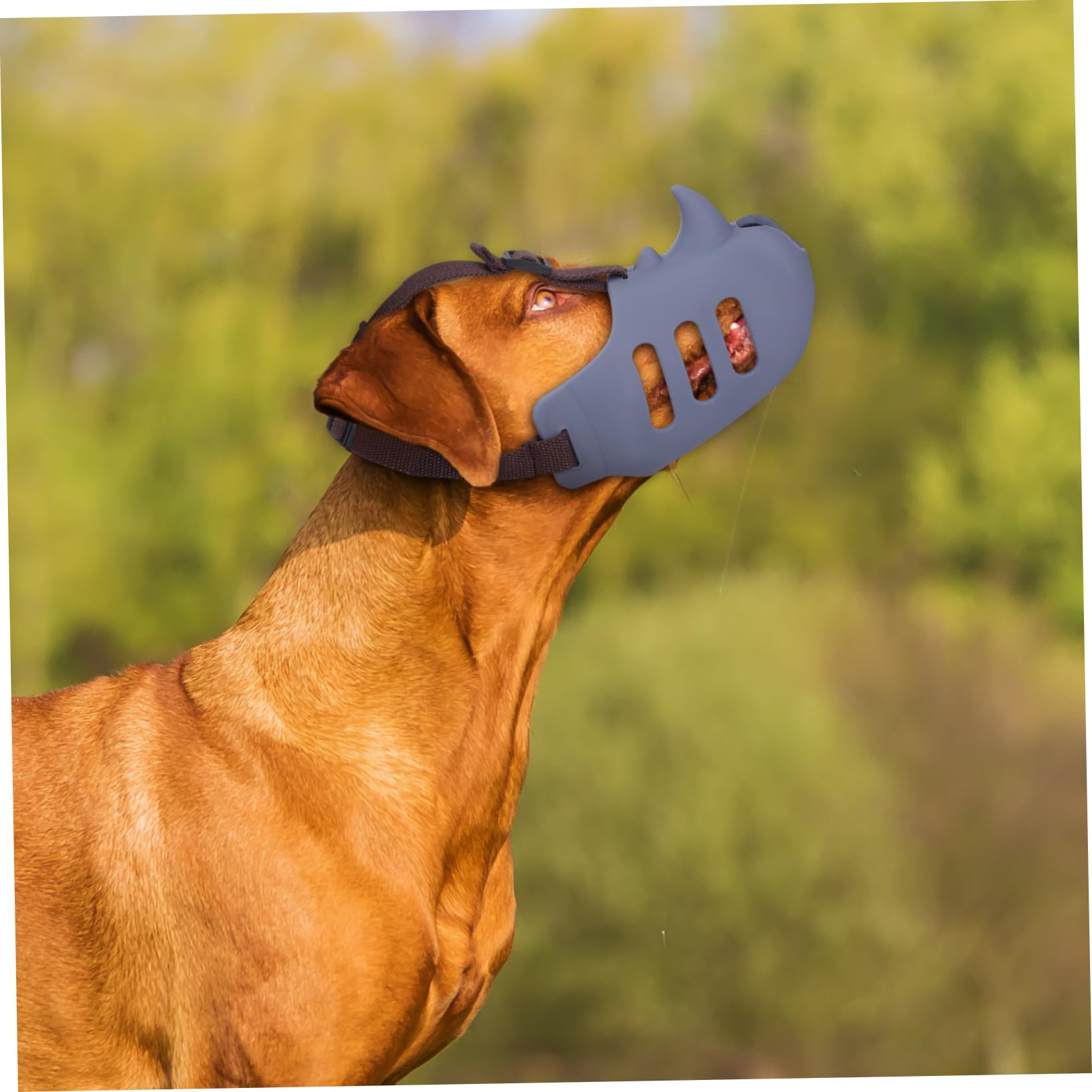 Toyvian Muselière Souple en Silicone pour Éviter de Manger, Anti-Morsure et Anti-aboiement, Lot de 3, Confortable, pour Chien, pour Chiens Moyens et Grands