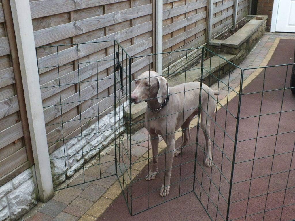 7ft dog gate