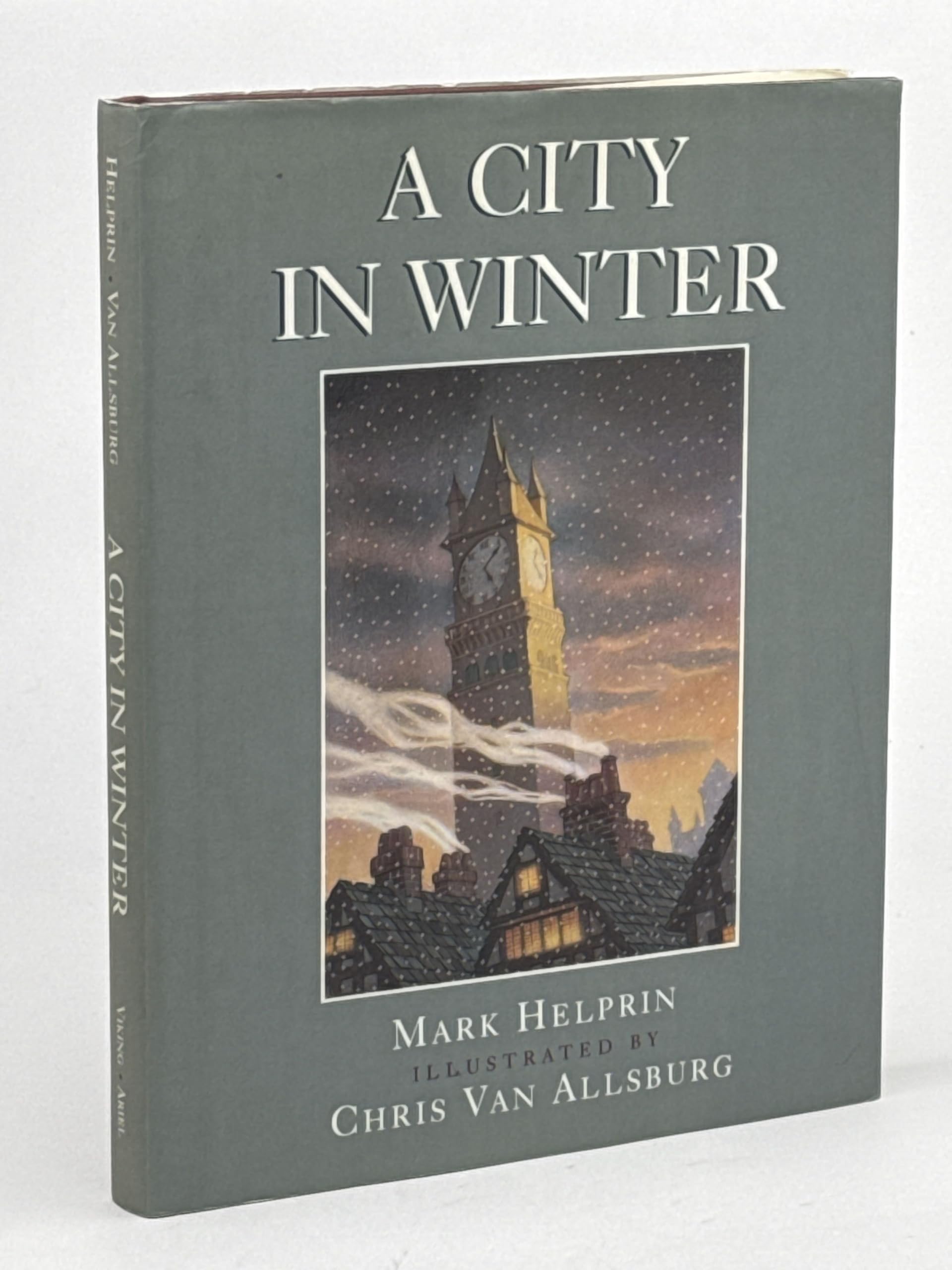 Cover of A City in Winter