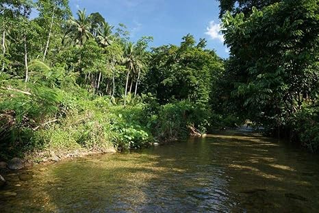 Amazon 川の壁紙 自然の壁紙 4356 キャンバス ステッカー 印刷 壁紙ポスター はがせるシール式 写真 特大 絵画 壁飾り60cmx40cm ウォールステッカー オンライン通販 Amazon 川の壁紙 自然の壁紙 4356 キャンバス ステッカー 印刷 壁紙ポスター はがせるシール式 写真 特大 絵画 壁飾り60cmx40cm ウォールステッカー オンライン通販