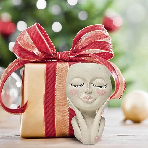 Miniatura 4 de Macetas de cara con cabeza bonitas macetas para plantas suculentas, macetas para interiores con sistema de drenaje, regalos de jardín para mujer,