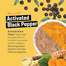 360 Nutrition Turmeric Supplement with Ginger Root Powder, Vegan Turmeric Curcumin with Black Pepper for Joint Support, Gut Health & Digestion, Keto Friendly, Caffeine Free, 3.3 oz, 31 Servings