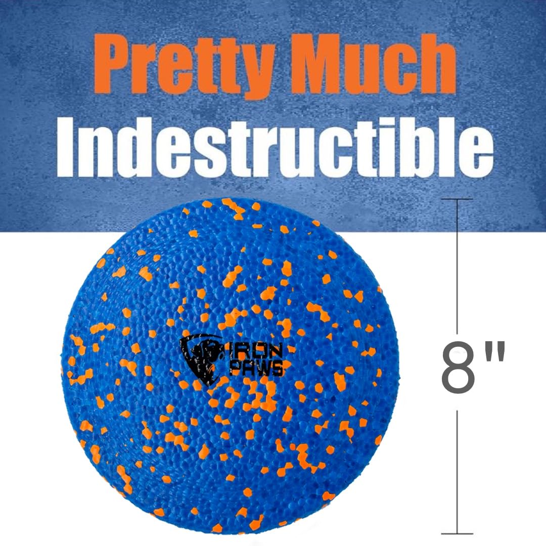 Iron Paws Fly Disc for Dogs - Tough Dog Flying Disc Toy for Aggressive Chewers, Dog Flying Disk for Fetch and Training