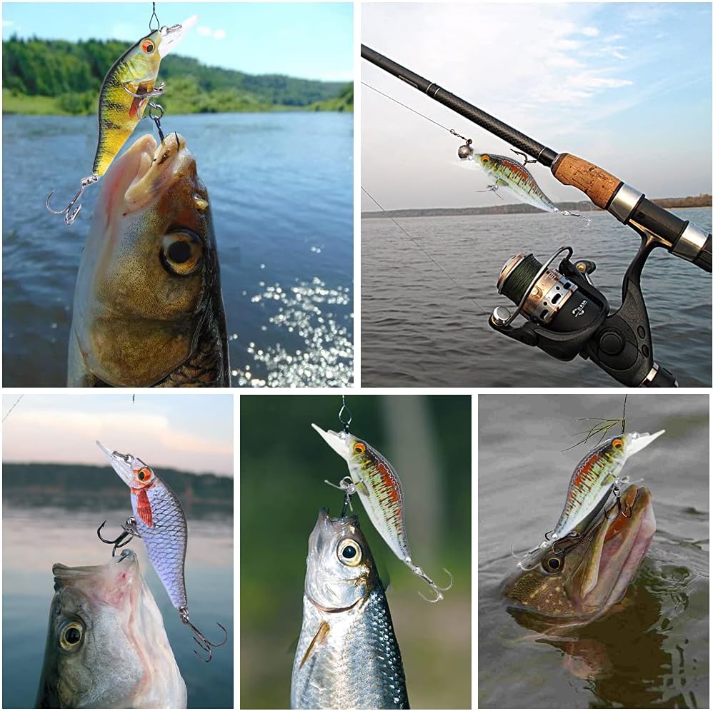 GZBomei 3PCS Crank baits Fishing Lures Set 6.5CM Lifelike Bass Hard Lures Diving Wobblers Artificial Bait Topwater Lures for Freshwater and Saltwater : Sports & Outdoors