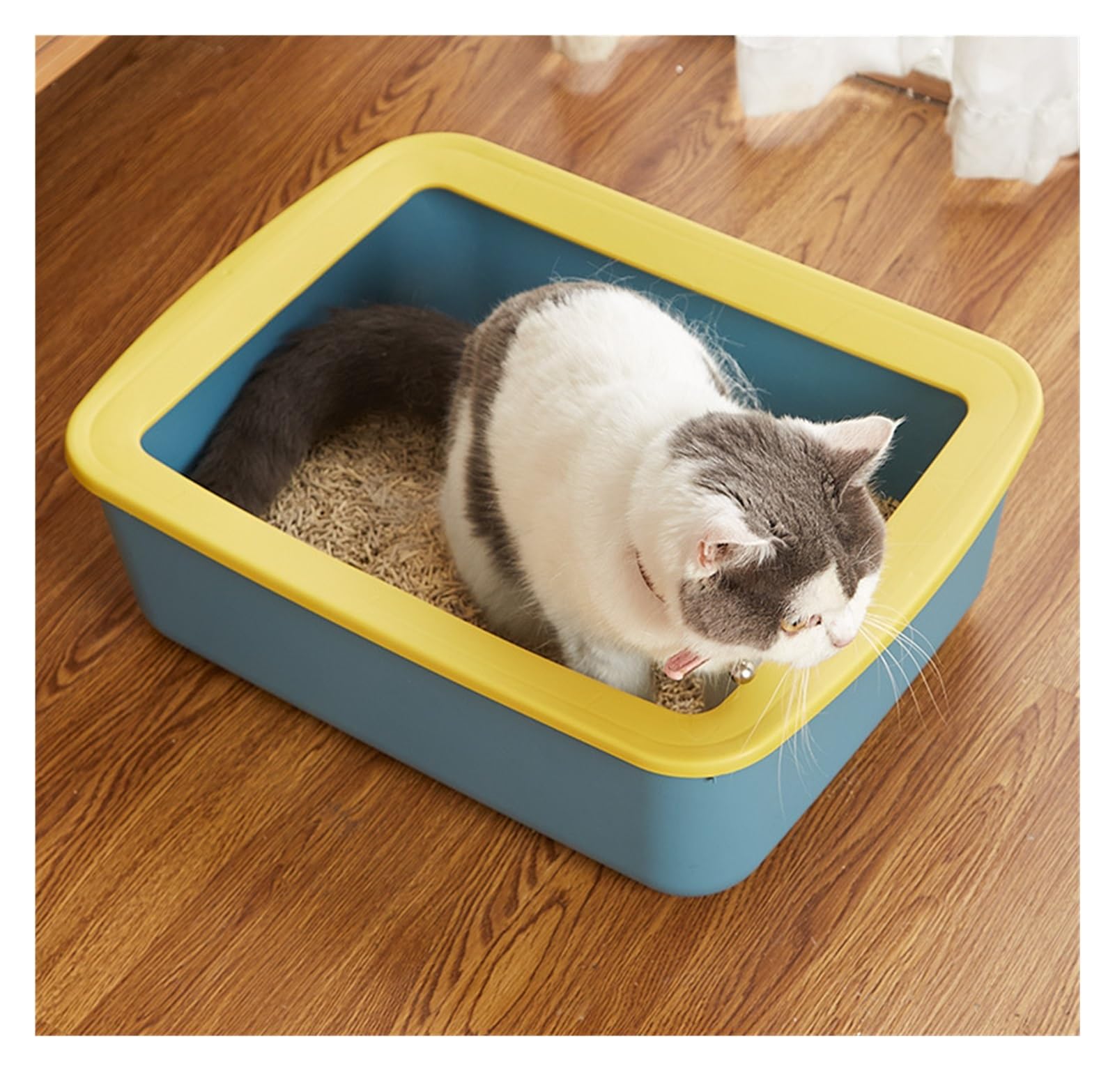 autopulente Lettiera for gatti semichiusa staccabile Lettiera for gatti for animali domestici antispruzzo con parte superiore aperta Facile da pulire Ideale for gattini grande(Wit)