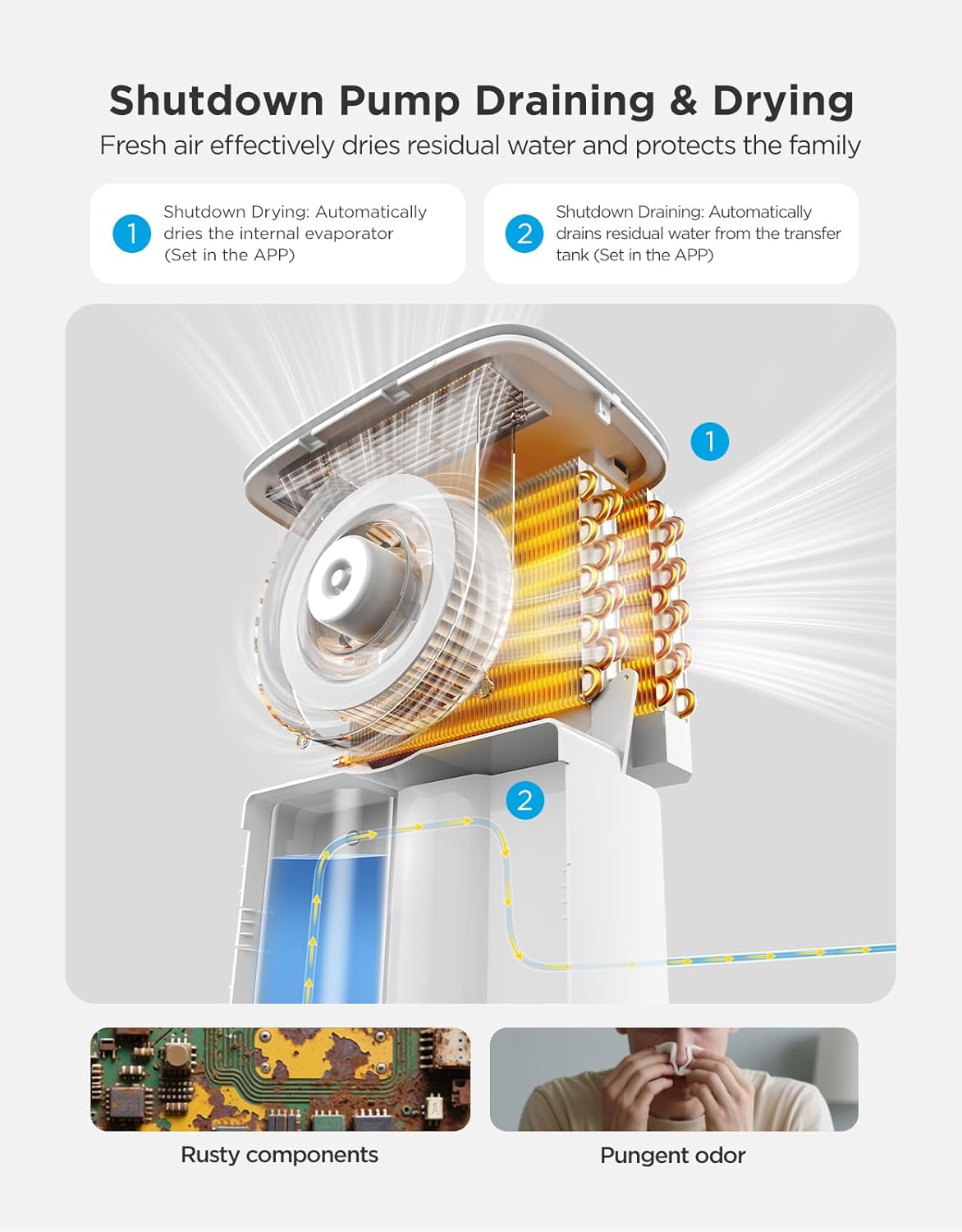 GoveeLife Dehumidifier for Home 4,500 Sq. Ft. with WiFi Refrigerator Thermometer with Alarm