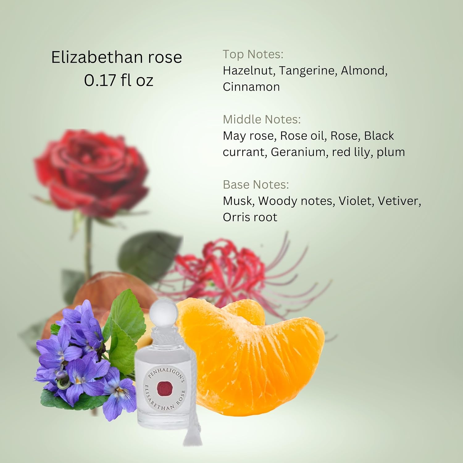 Penhaligon's Ladies' Fragrance Collection 5 x 5 ml