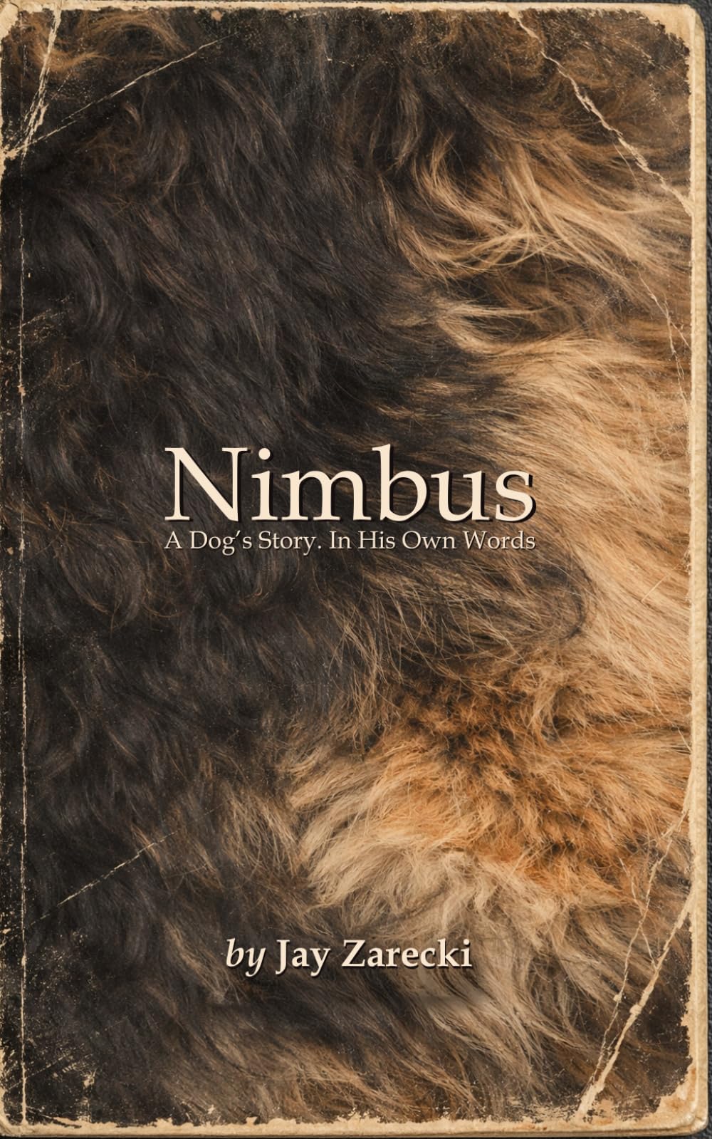 Nimbus