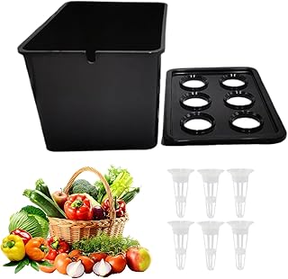 Hydrokultur System für Innenräume,6-Löcher Anzuchtsystem mit Box - Haushalts Anzuchtbox - Für Innen- Und Außenbereich, Garten, Gewächshaus, Farm, Hinterhof, Fensterbank, Balkon, Büro, Für Gemüse, Und