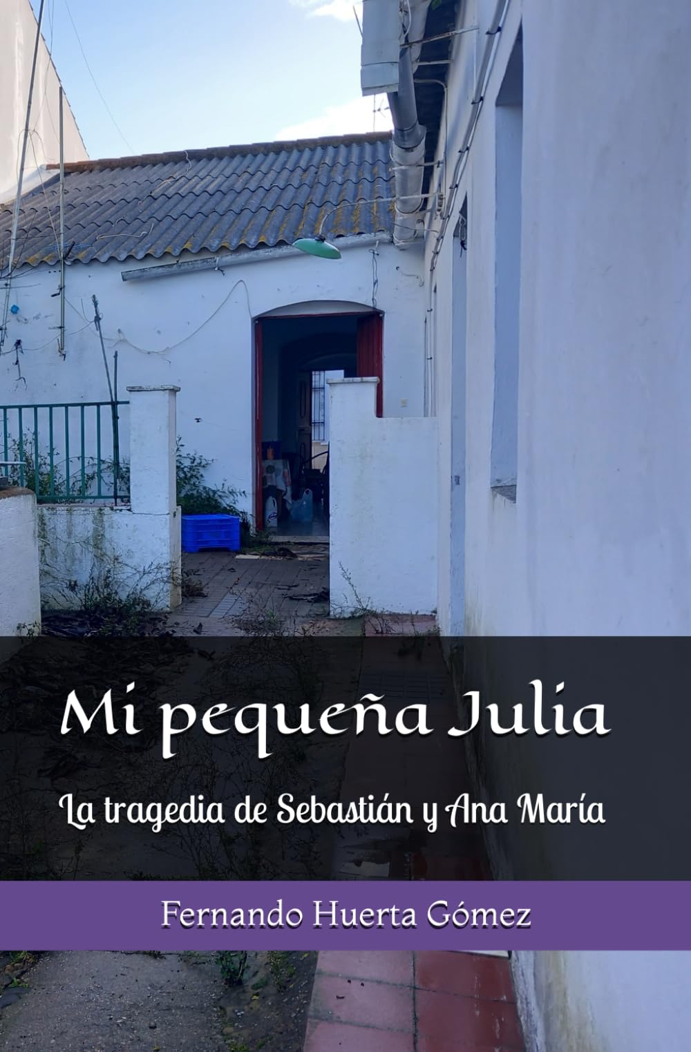 Mi pequeña Julia: La tragedia de Sebastián y Ana María
