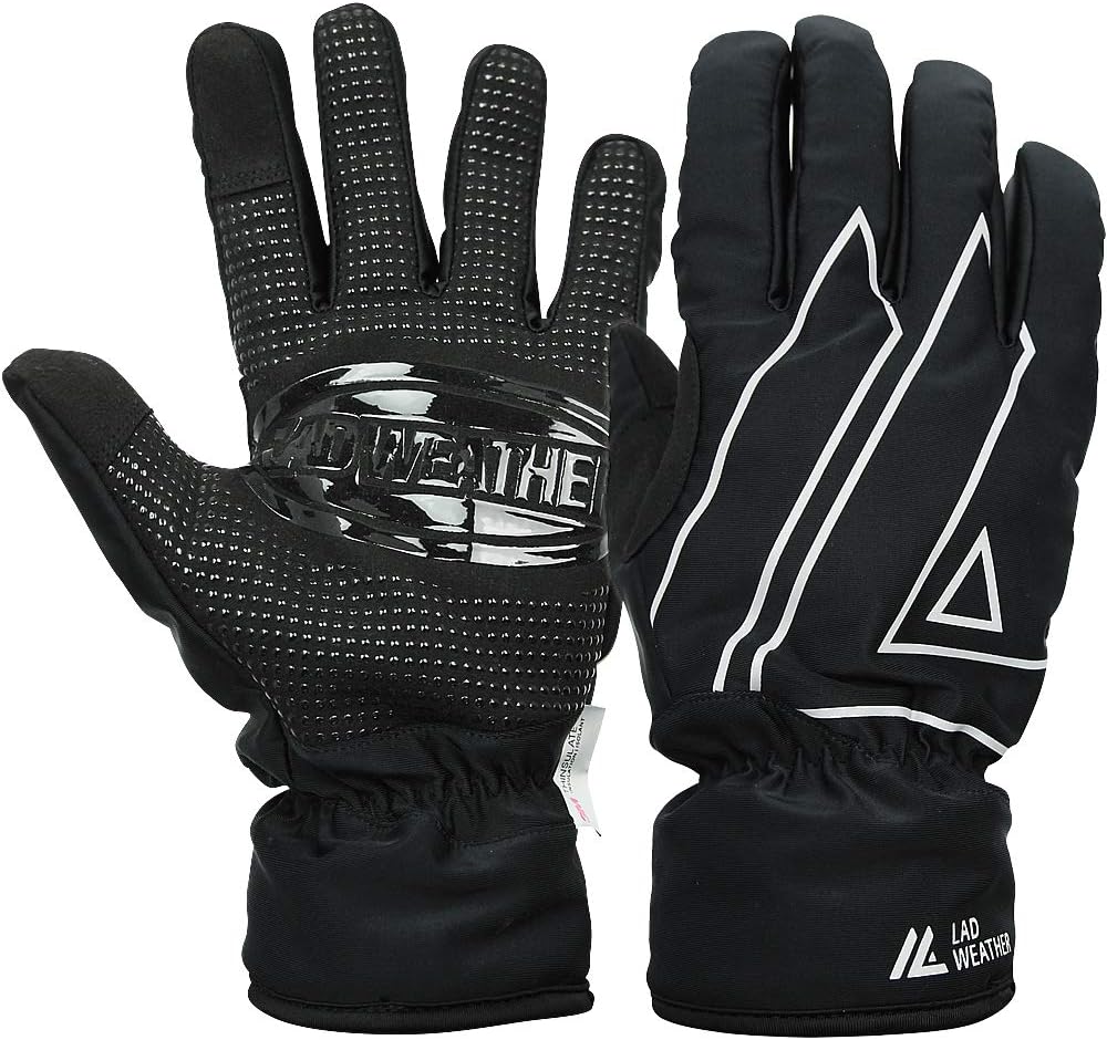 [ラドウェザー] 防寒グローブ 防寒手袋 防水 防風 スマホ操作 バイク スキー メンズ手袋