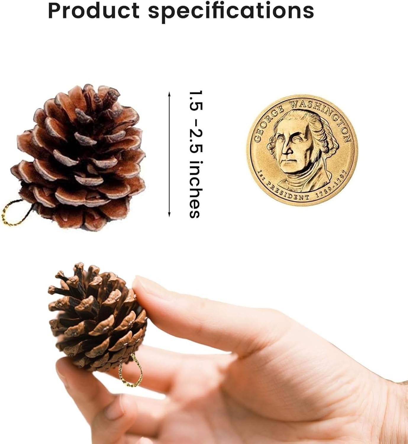 JOHOUSE 18 PCS Hanging Natural Pine Cones with String, 16PCS 40'' Dried Pampas Grass Home Decor, for Christmas Tree Ornaments Winter Vase Filler
