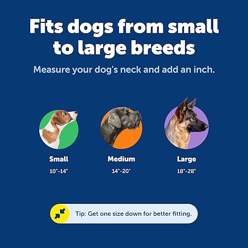 Miniatura 5 de Collar PetSafe KeepSafe para Perros - Protege contra Accidentes de Collar - Duradera - Ajustable - Separable - Seguro para Exteriores - Mediano - 1