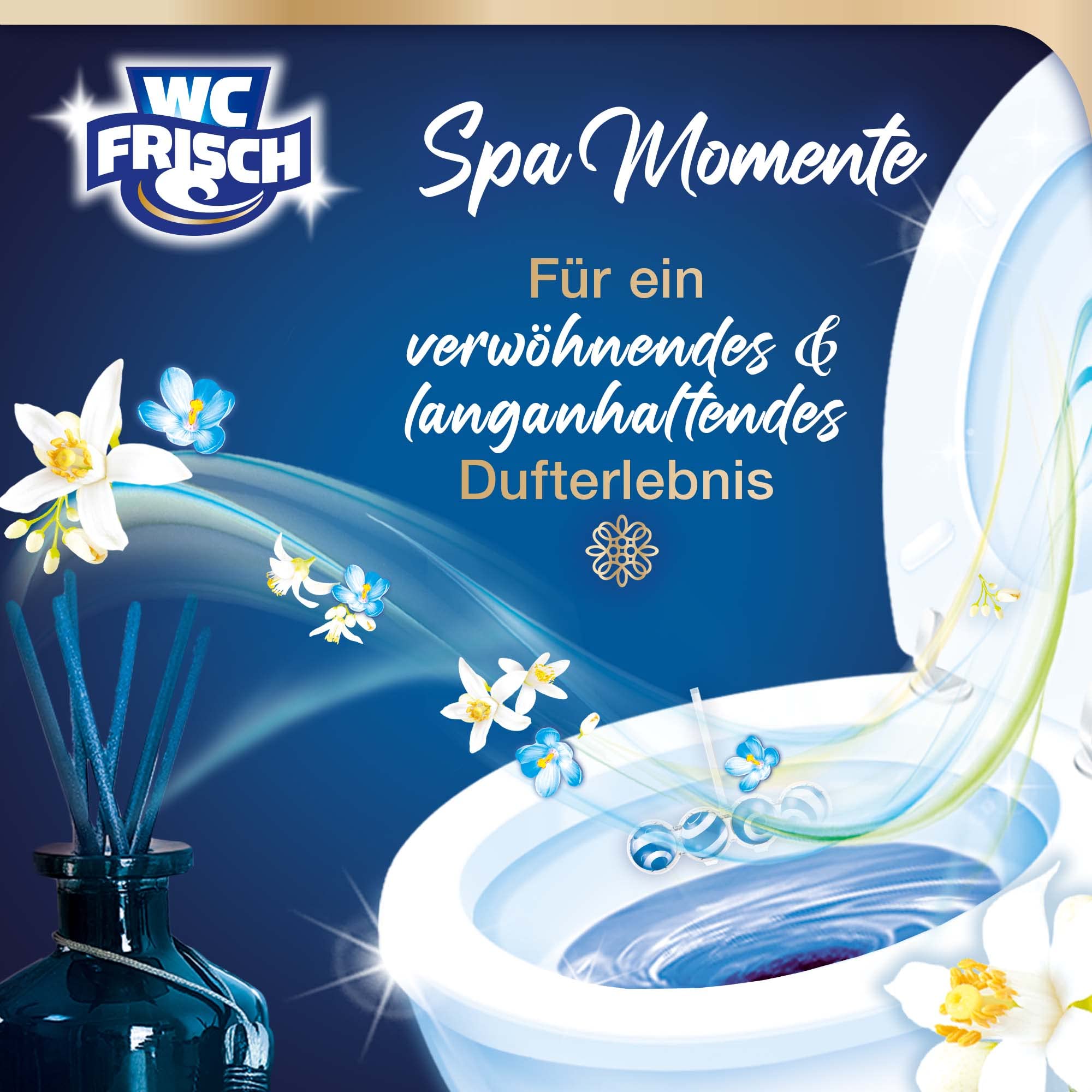 WC-Frisch Spa Momente Vitalität Lot de 10 pierres de toilette (10 x 50 g) avec huiles essentielles luxueuses, pierre WC pour une expérience parfumée dorlotante et durable