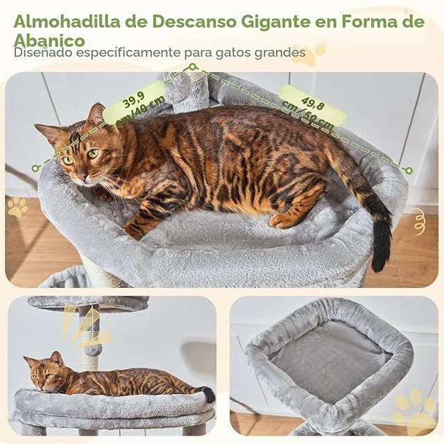 Foto 3 de 8 de Taoqimiao Árboles Rascadores para Gatos Grandes 183 cm, Plataformas Amplias