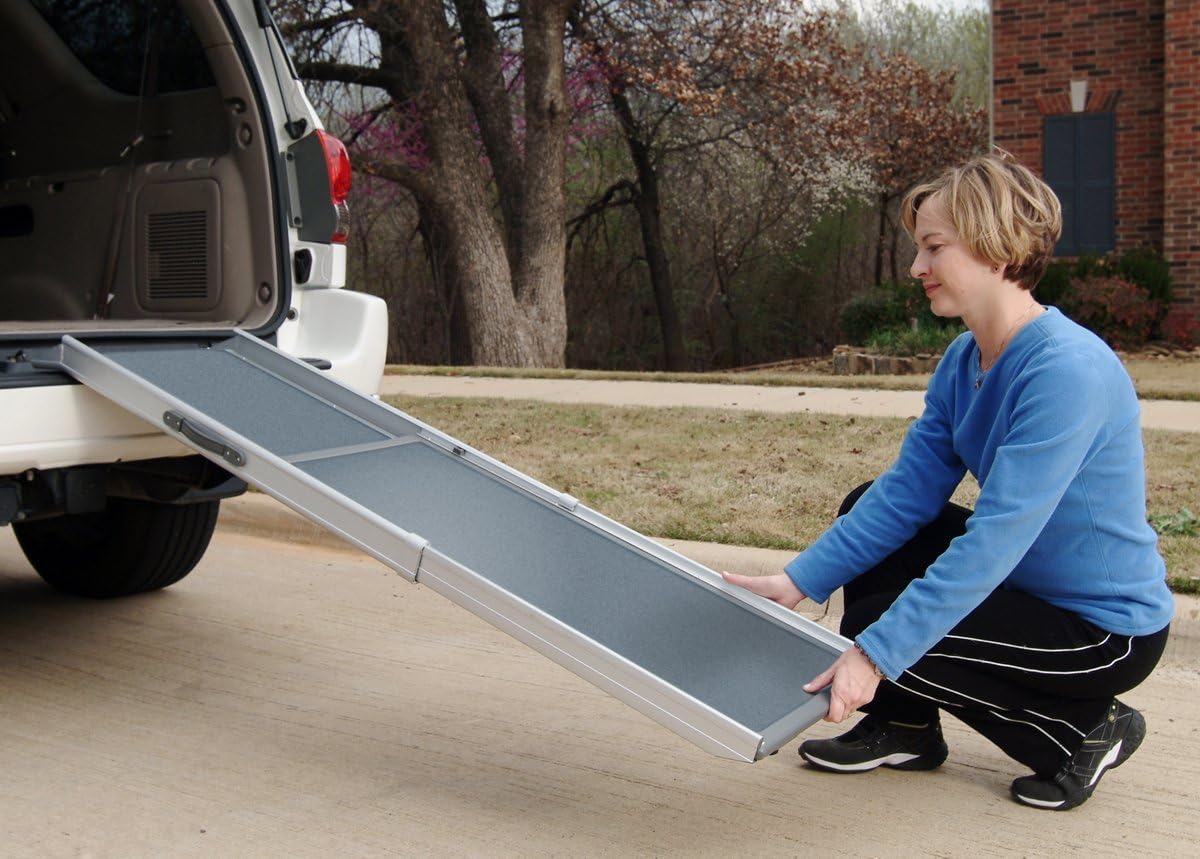 PetSafe Happy Ride Deluxe Telescoping Pet Ramp - 72 Inch, Portable, Lightweight, Aluminum Dog and Cat Ramp - Carrying Case Available, Grey, 1 Count (Pack of 1) : Pet Door Safety Ramps : Pet Supplies