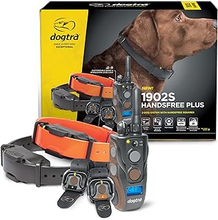 Dogtra 1902S hands-free remote training collar system