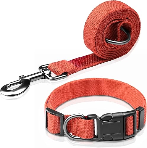 Pawhuggies Juego de collar y correa de perro naranja, correa ajustable de tela de bambú natural transpirable y collar para perro, collar grande para