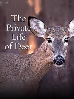 The Private Life of Deer