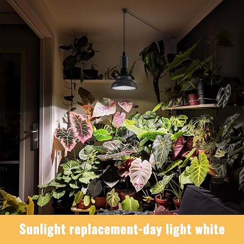 Vista 12 de Bombillas LED de crecimiento, luces de cultivo colgantes para plantas de interior, 25 W 5000 K, luz de planta ajustable en altura con temporizador