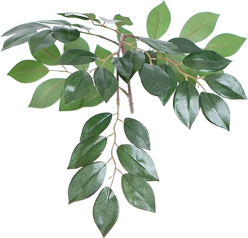 Vista 3 de Vickerman TBU0740 Arbusto Sakaki todos los días, verde oscuro, 4 pies