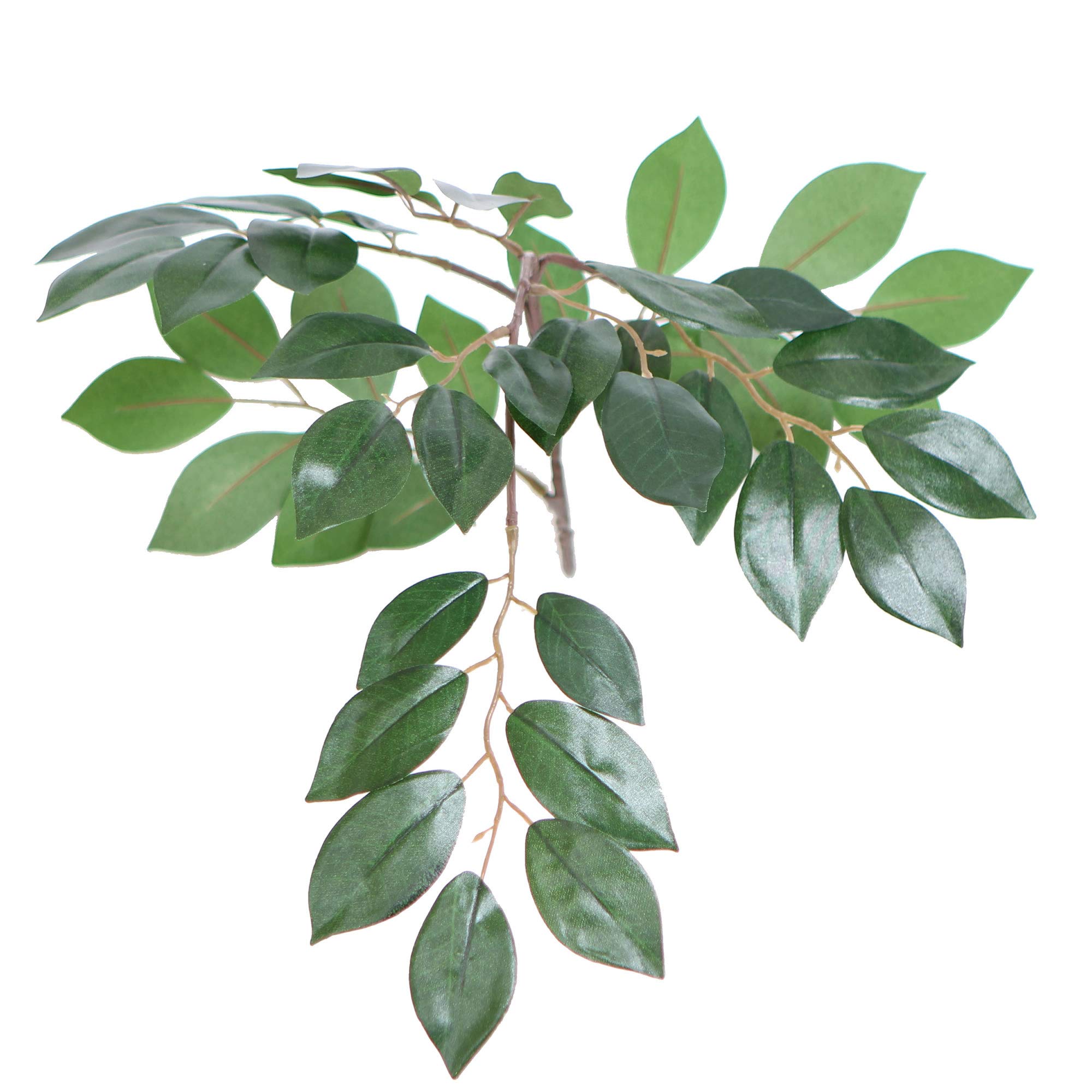 Vickerman TBU0740 Everyday Sakaki Bush, Green Dark, 4'