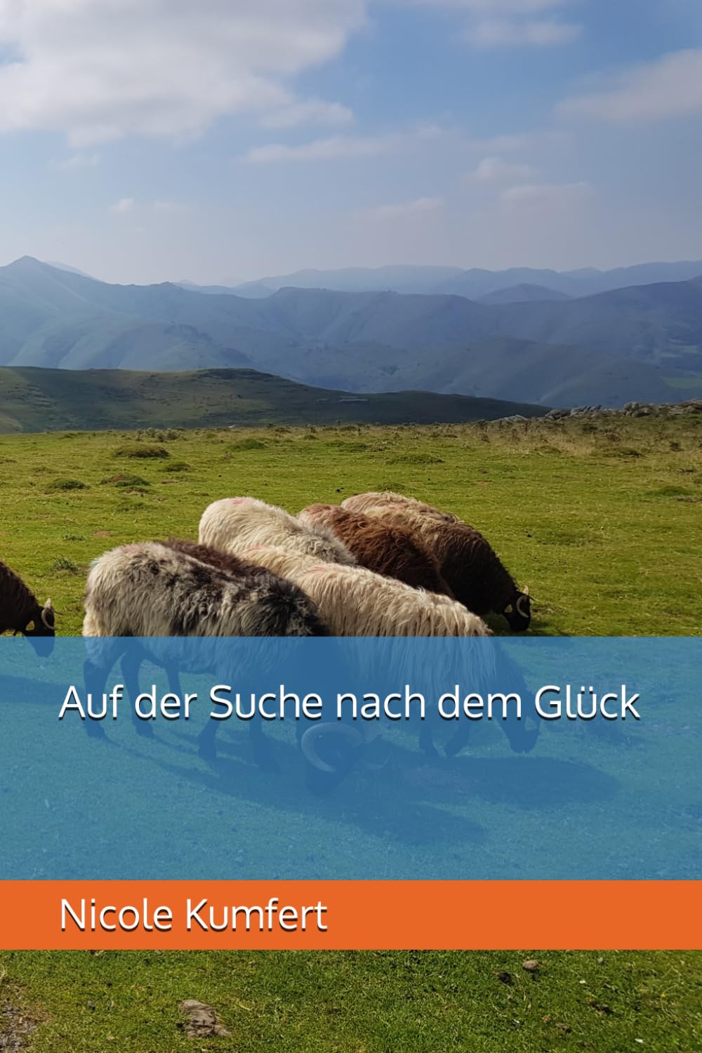 Auf der Suche nach dem Glück