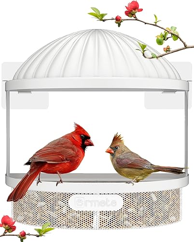 Ermete Comedero para pájaros de ventana, ventana de comedero de pájaros duradero, comedero de ventana de metal para pájaros con bandeja de semillas