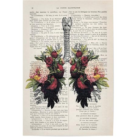 amazon de artboxone poster 30x20 cm anatomie floral flower lungs 01 bild lungs anatomie drucke blumen