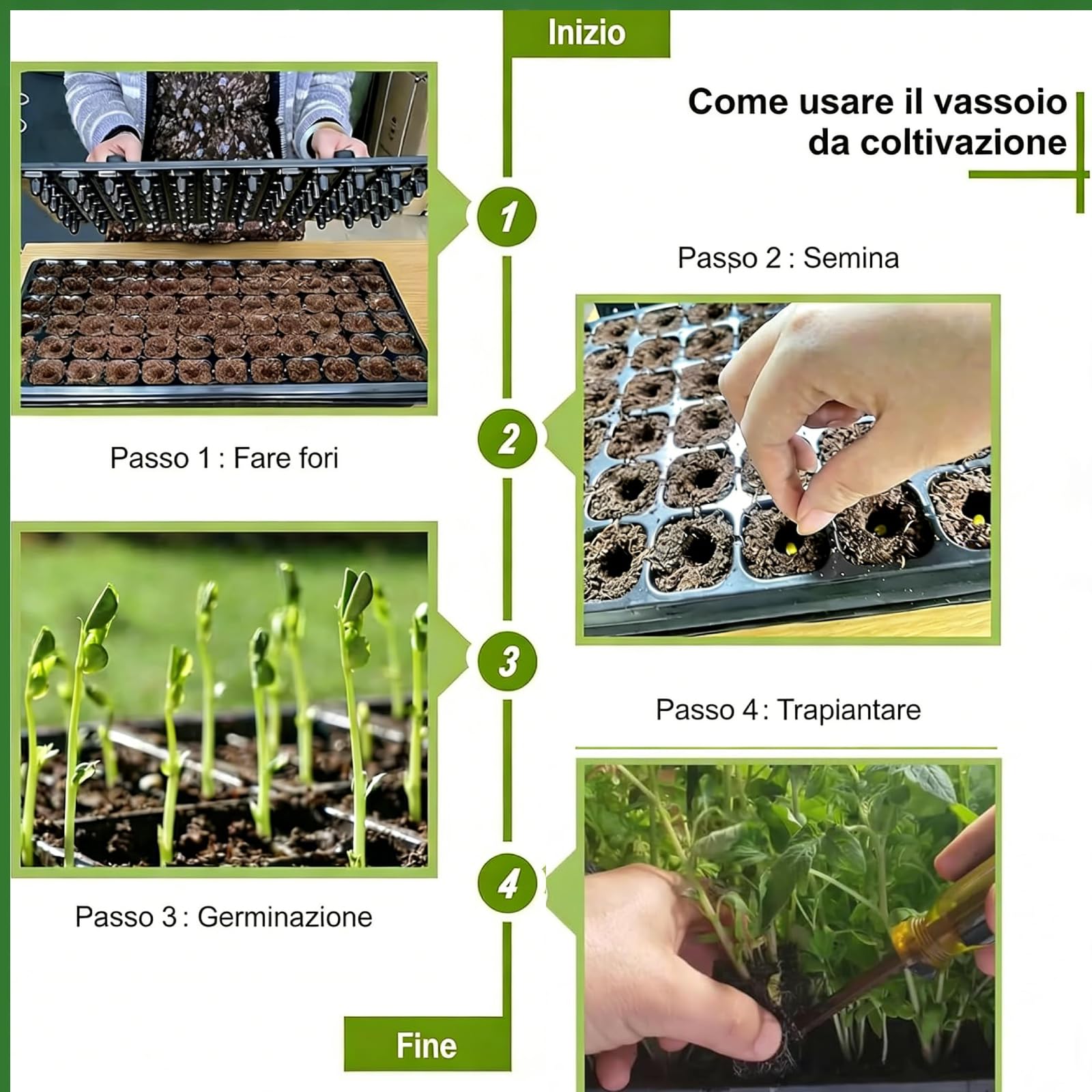 predolo 12 Vassoio Germinazione per Piantine da con Griglia, Vasi per Semina con Foro di drenaggio, Semenzaio, Mini Serra, Vaso di Propagazione per Frutta, Coltivazione da Interni ed Esterni, 72 Celle