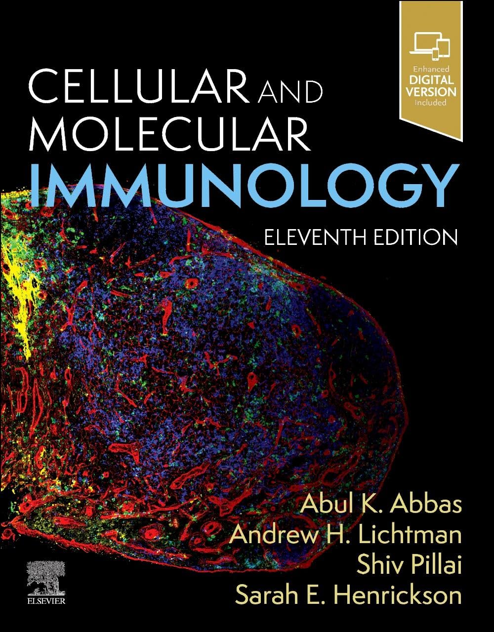Amazon | Cellular and Molecular Immunology | Abbas MBBS, Abul K