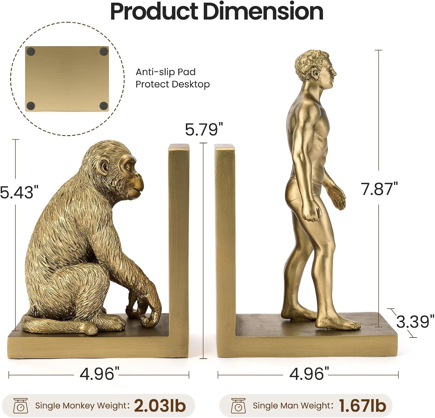 Gold Evolution Book Ends, Monkey to Man Bookends for Heavy Books