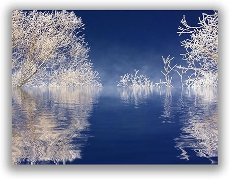 Amazon Co Jp 冬の風景画 自然の神秘的な冬の風景 キャンバスに印刷 パノラマウォールアート リビングルーム用のモダンな絵画50x70cm フレームレス ホーム キッチン