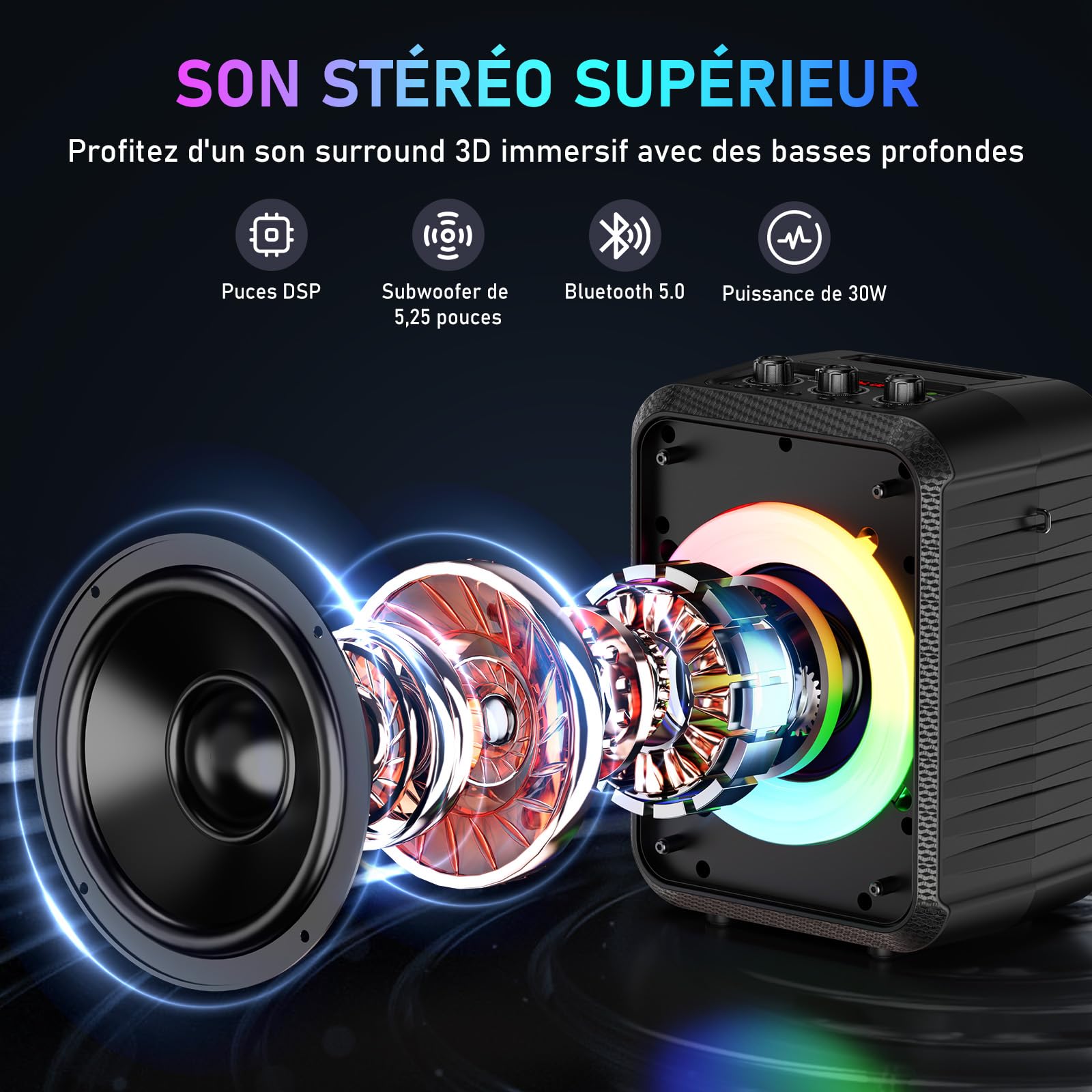 HWWR Karaoke Adulte, 120W Enceinte Karaoke 2 Micro sans Fil, Haut-Parleur Bluetooth Portable, Système de Sonorisation Professionnel avec Lumières LED pour Fête à Domicile, Support TF/USB/AUX/TWS