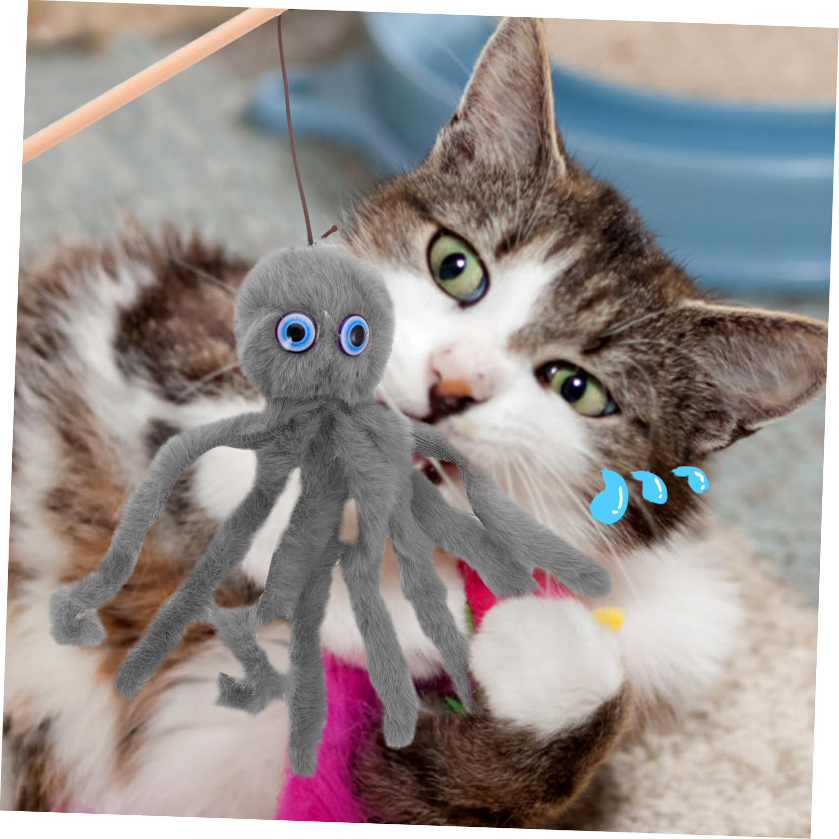 Kisangel 10stücke Interaktiver Katzen-Teaser Mit Weicher Oktopus Spielzeug Für Katzen Und Kätzchen Fördert Aktives Spielen Und Gesunde Bewegung Drinnen