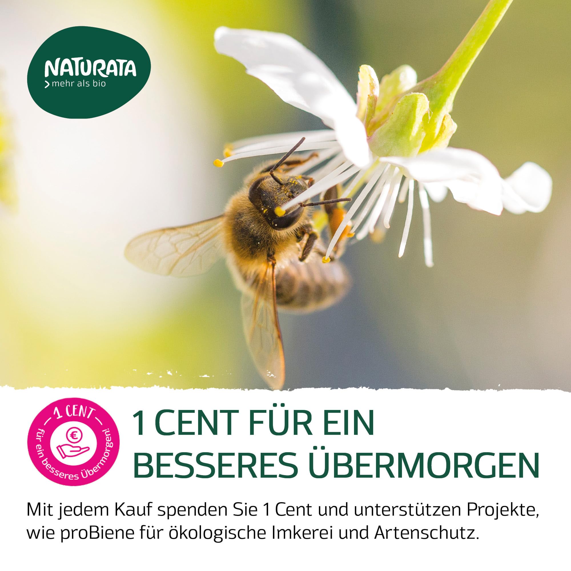 NATURATA Bio Bourbon Vanillezucker 240 g - 30 x 8 g Beutel - Feinster Demeter Rohrohrzucker Vegan - 8 % Echter Bourbon Vanille Aus Madagaskar - Natürliches Aroma Ohne Zusätze - Bio Backzutat