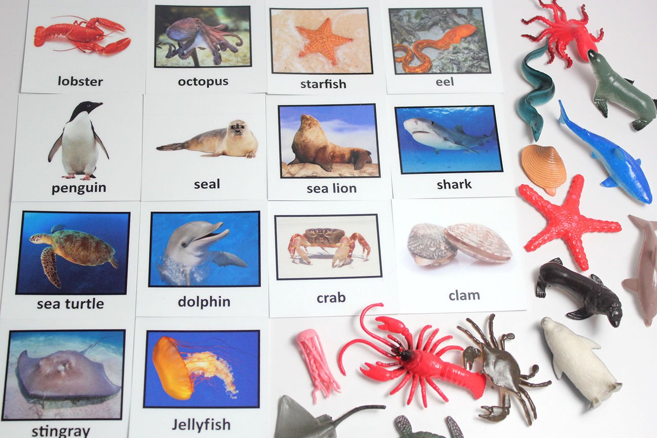 Buy Curious Minds Busy Bags Montessori Animal Match - Miniature Ocean ...