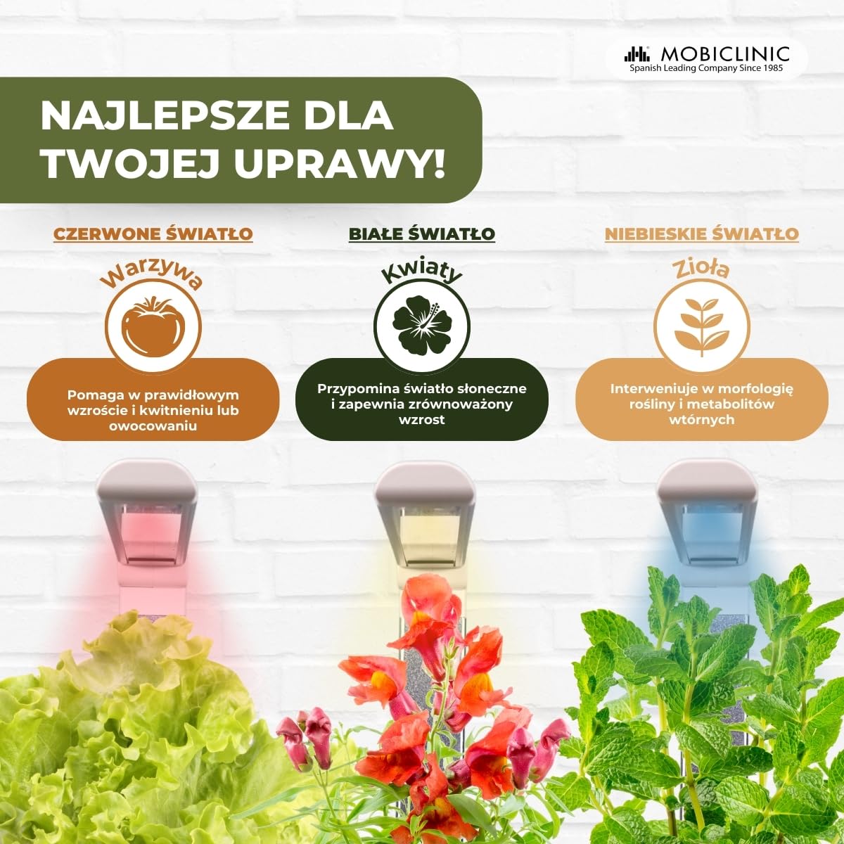 Mobiclinic®, Hydroponiczny system uprawy, Mini-grow, Światł do regulowana wysokość i kąt, Timer wody przypomnienie, Zestaw kiełkowania roślin, Automatyczna dioda led, 4, 5 w