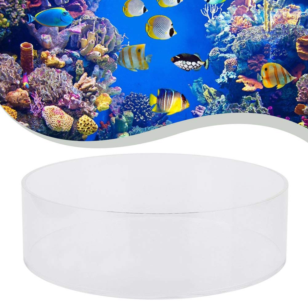 Visor De Coral Acrílico Transparente Pecera Lente De Observación De Coral Peces De Acuario Fotografía Cilindro Lupa Accesorio Para Pecera Para Ver Corales Y Tomar Fotografías(200mm)