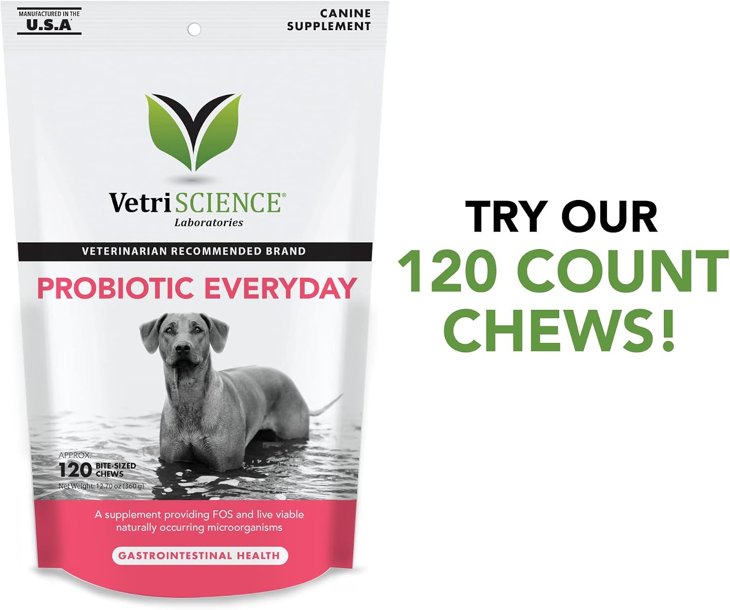 VetriScience Probiotic Everyday for Dogs, Digestive Health Supplement-60 Bite Sized Soft Chews