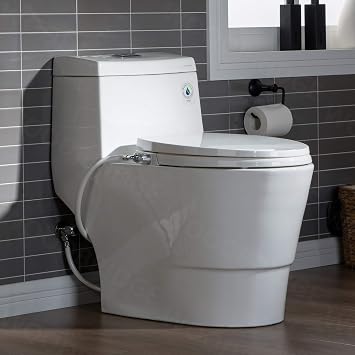 WOODBRIDGE One Piece 1.1GPF/1.6 GPF Dual Flush Elongated Toilet with Non-Electric Bidet Seat in White