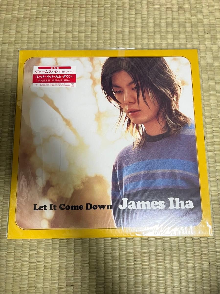 James Iha 「Let It Come Down」 アナログ盤 未使用LP James Iha Let