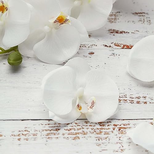 Miniatura 6 de Efavormart - 20 cabezas de orquídeas artificiales de seda blanca de 4 pulgadas, para bricolaje, boda, ramo, fiesta, hogar, mesa, centro de mesa