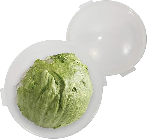 Trenton Gifts Almacenamiento de lechuga y vegetal  7 x 8 pulgadas