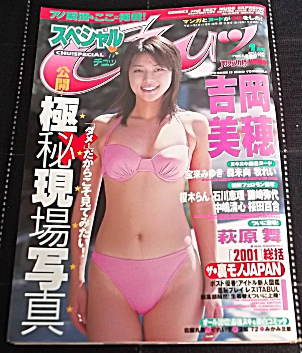 藤崎弥代 ヌード 