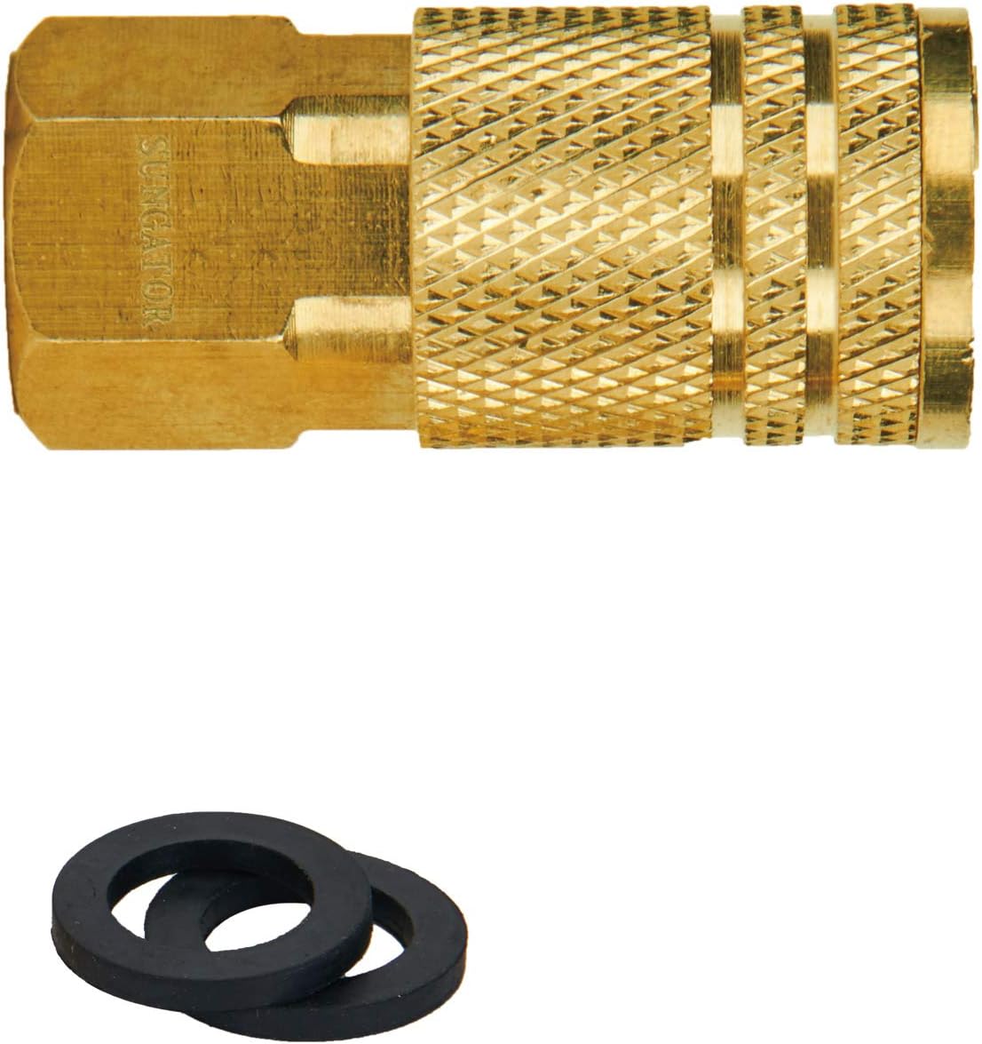 Amazon.com : SUNGATOR Winterize Sprinkler Systems Plug, 2-Pack Water ...