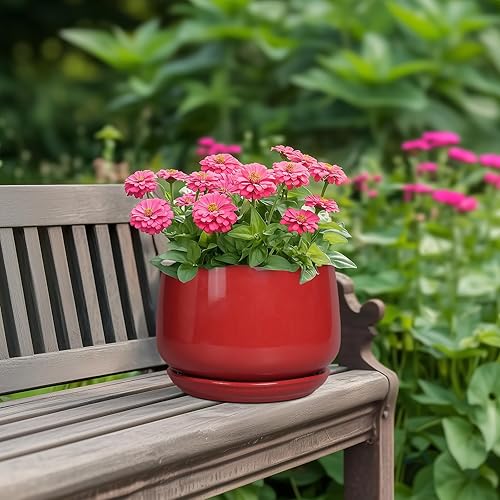 Miniatura 4 de G EPGardening Maceta de cerámica de 7 pulgadas, macetas para plantas de interior, maceta redonda con drenaje y bandeja de cerámica, maceta moderna,